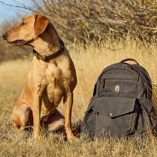 Canvas Backpack