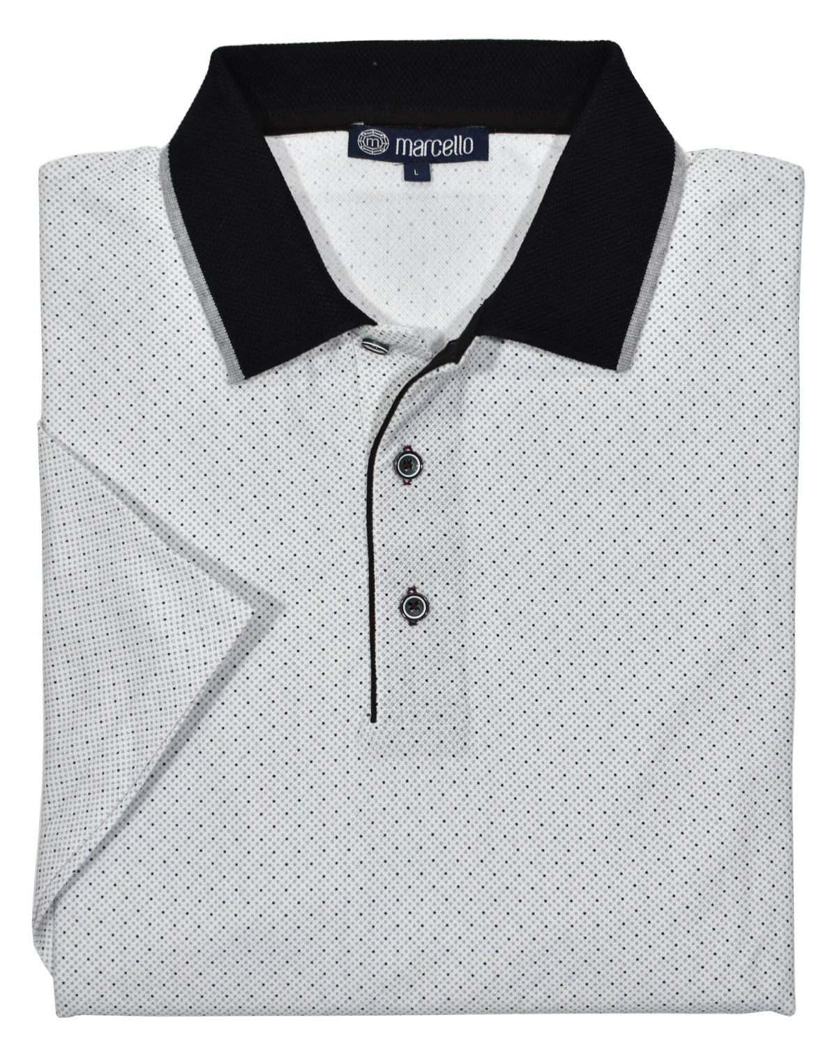 Terrion Fine Dot Polo