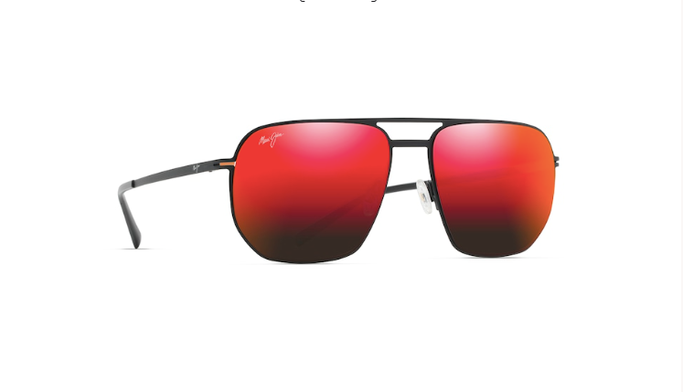 Shark's Cove Sunglasses