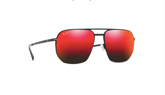 Shark's Cove Sunglasses